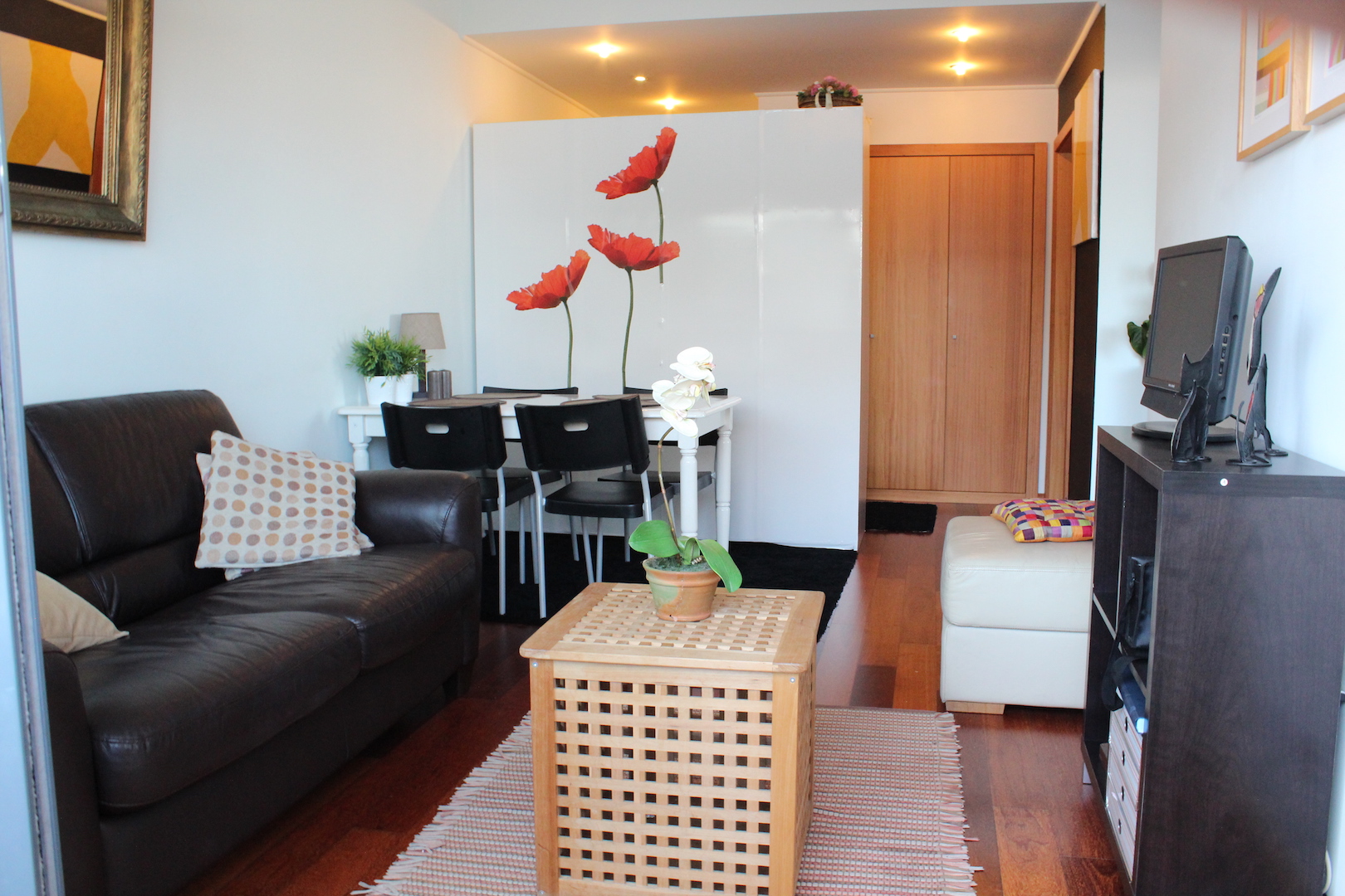 Living room with sofa bed